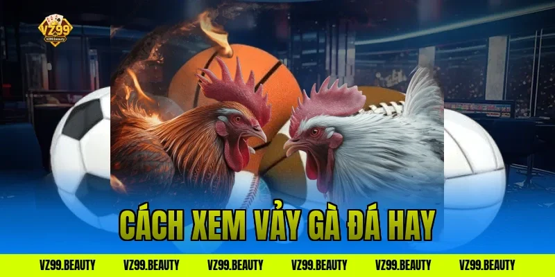 Cách Chọn Gà Đá Hay: Xem Vảy Gà, Màu Mạng Chuẩn Sư Kê